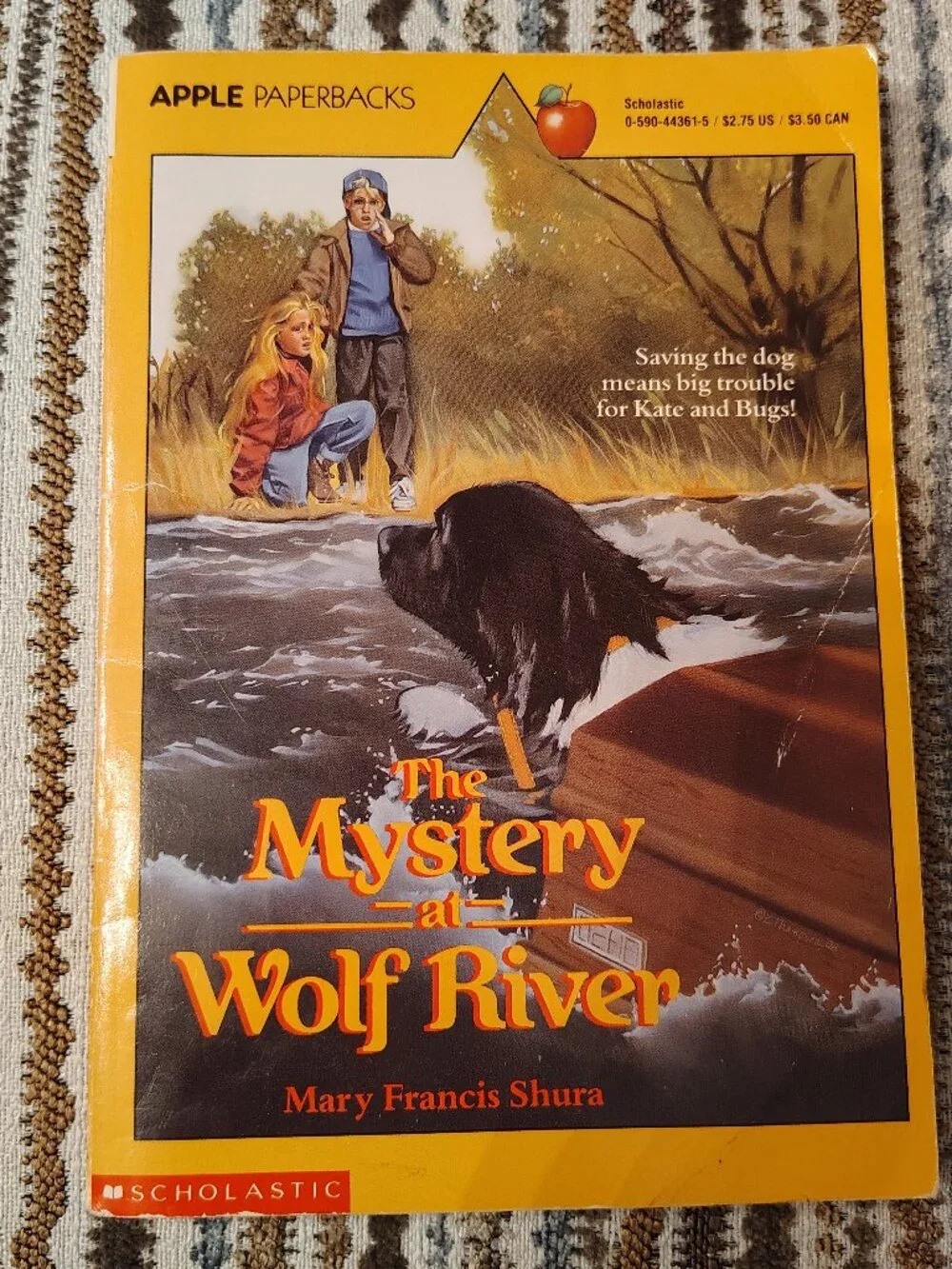 The Mystery Of Wolf River Mary Francis Shura PB Chapter Book RL5